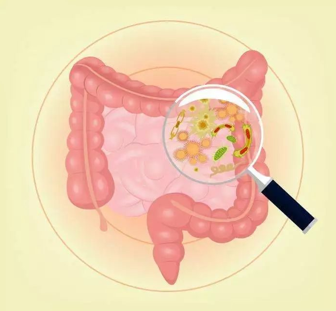睡眠不好还在数羊吗？可以从这些微生物上找找原因？